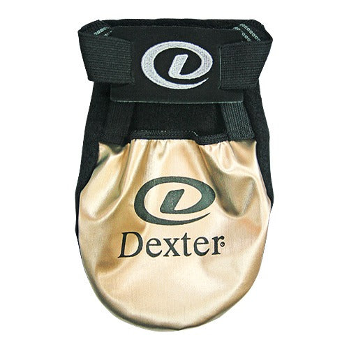 Dexter Shoe Slide Cover / Gold