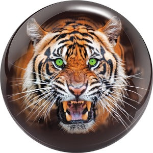 Brunswick - Biz Tiger