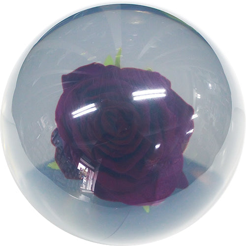 Rose Clear Hardball (Purple)
